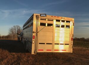 Aluminum livestock trailer