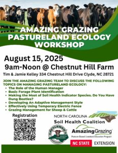 Amazing Grazin gFlyer