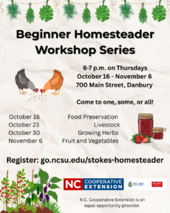 Chickens pecking at scratch grain, jars of jam, and tomatoes on a vine