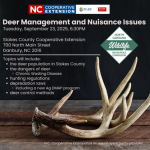 photo of deer sheds on a wooden table