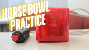 Horse bowl practice with buzzer and light