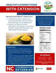 Cover photo for Healthy Connections August Edition