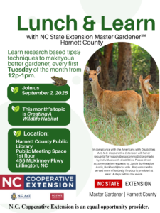 Cover photo for September Lunch & Learn