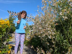 Extension Master Gardener Volunteer Tracie Bowers counts insects on the giant beeblossom in the Pollinator Haven Garden during the 2024 GSEPC event. It is easy to participate in the Great Southeast Pollinator Census wherever you are. Grab your datasheet, a clipboard, a pencil, maybe a chair, umbrella and a glass of sweet tea, and observe insects on your flowering plants as part of the Great Southeast Pollinator Census on Friday, August 22, and Saturday, August 23.