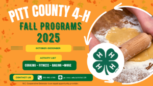 Cover photo for Get Ready for Fall Fun With 4-H