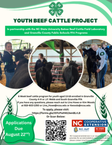 Cover photo for 4-H Youth Cattle Project Opportunity