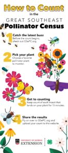 Cover photo for Sunday, August 24th Has Been Added as a Counting Date to This Year's Pollinator Census.