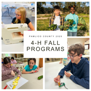 Collage of images of Pamlico County fall 4-H programs: "It's Electric", "Sew Much Fun", and "Chopped! International"