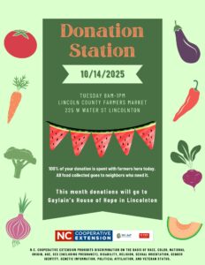 Cover photo for Donation Station at Lincoln County Farmers Market!!