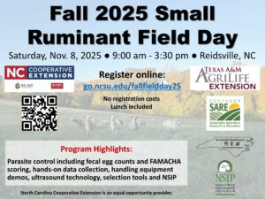 Cover photo for Fall 2025 Small Ruminant Field Day