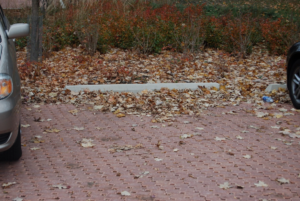 Nearby trees and landscaping create a steady source of clogging material that should be frequently removed (Photo courtesy of Bill Hunt)