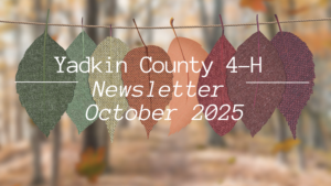 October Newsleter