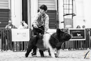 Cover photo for Support Beaufort County 4-H Youth at the NC State Fair