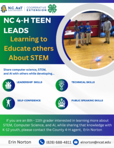 Cover photo for Teen LEADs Program