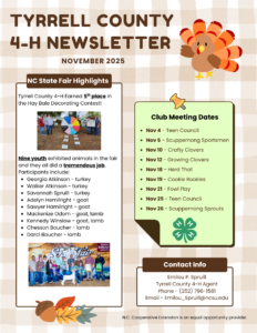Picture of November's 4-H Newsletter