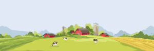 Abstract rural landscape with farm house. Vector illustration, wheat fields and meadows. Harvest time.