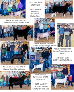 Photos of NC State Fair Livestock Winners from Stokes