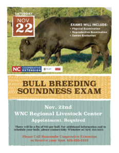 Cover photo for Fall 2025 Bull Soundness Exam