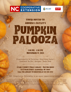 Cover photo for Pumpkin Palooza Class - Take 2