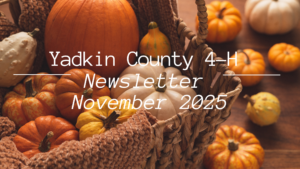 November Newsletter