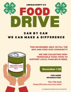 Cover photo for November 4H Food Drive - Community Service Project