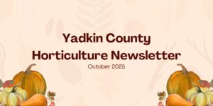 October Newsletter