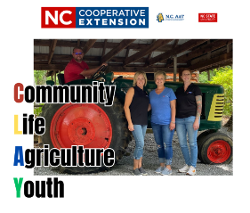 Cover photo for Clay County Community Survey