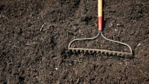 Freshly tilled soil with a rake.