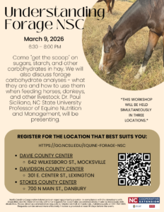 Cover photo for Equine Workshop: Understanding Forage NSC